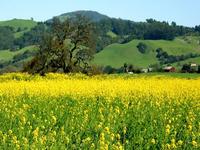 Setelah Ramadhan, Menjadi Lebih Baik